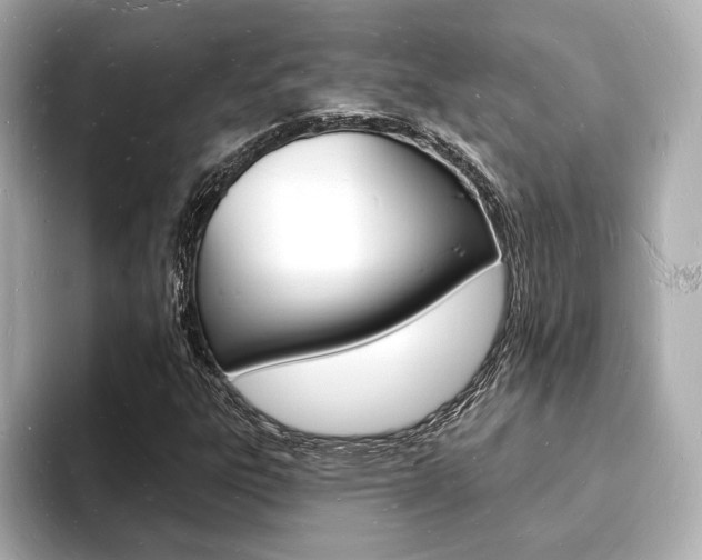 X0000093601303200710150950