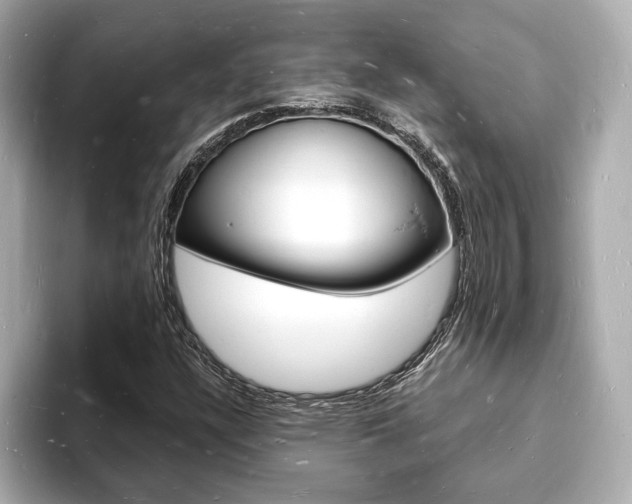 X0000093601304200710150950