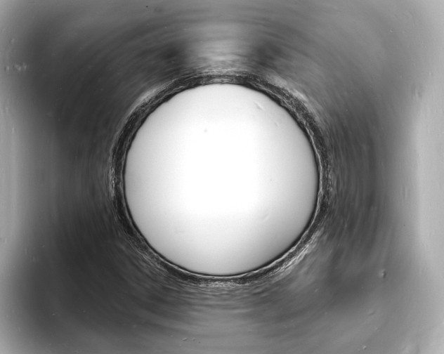 X0000093601306200710150950