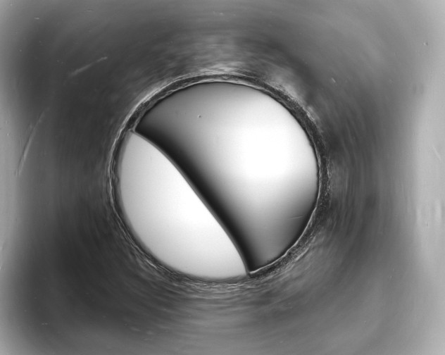 X0000093601308200710150950