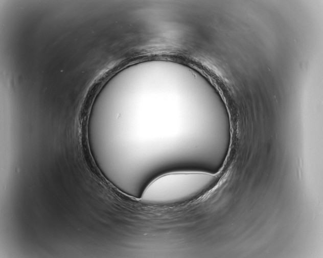 X0000093601309200710150950