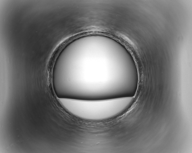 X0000093601310200710150950