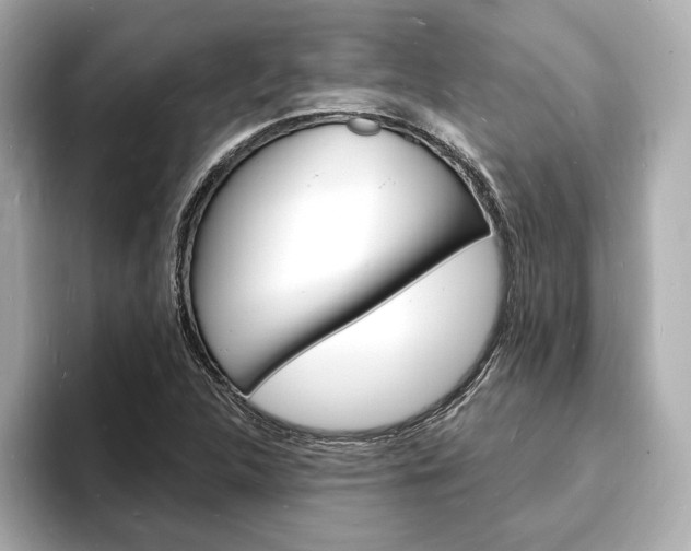 X0000093601312200710150950