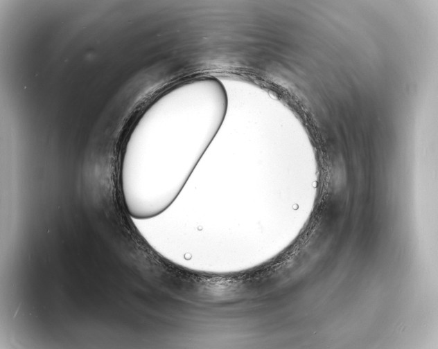 X0000093601314200710150950