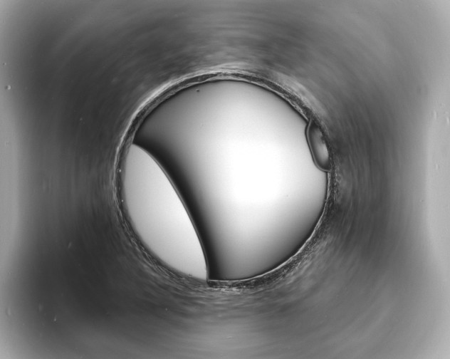 X0000093601316200710150950