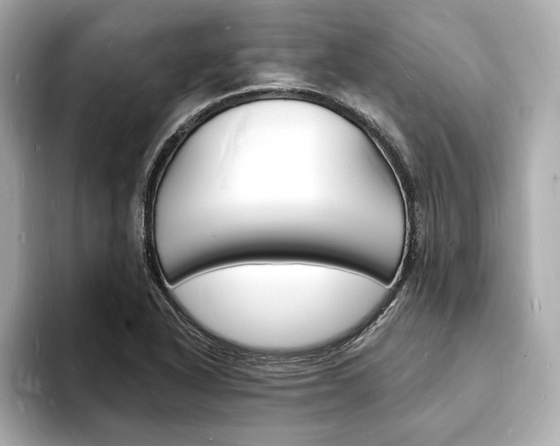 X0000093601318200710150950