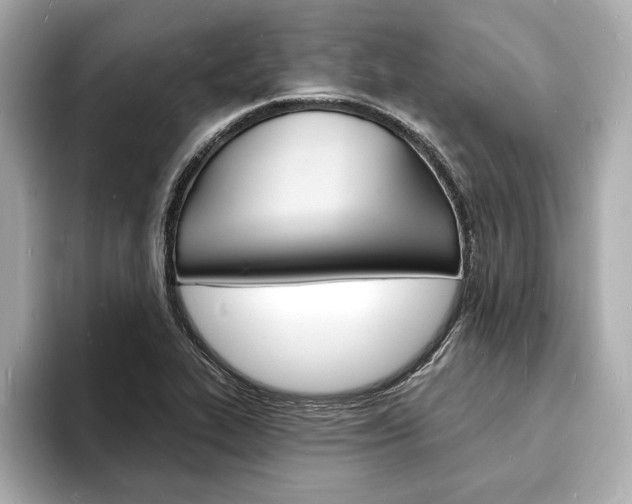 X0000093601319200710150950