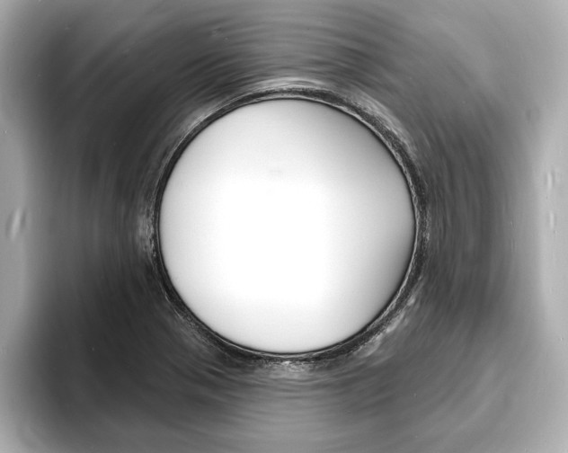 X0000093601321200710150950