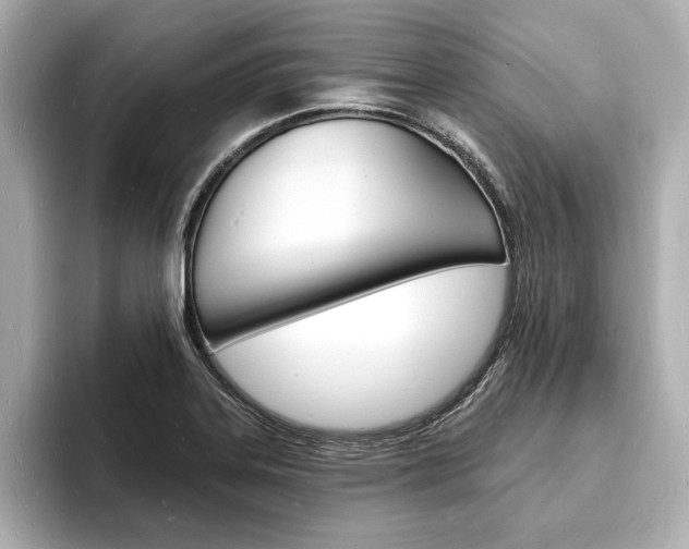 X0000093601323200710150950
