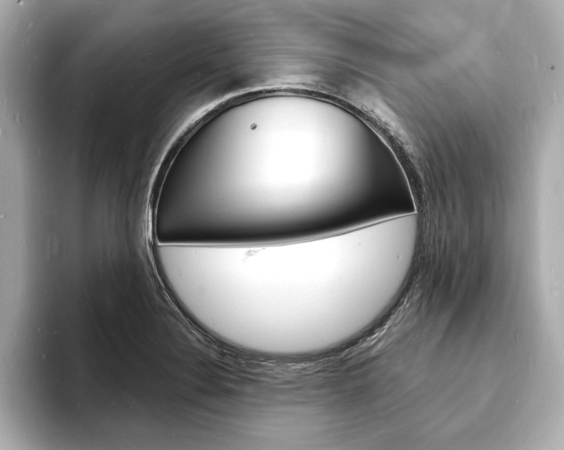X0000093601324200710150950