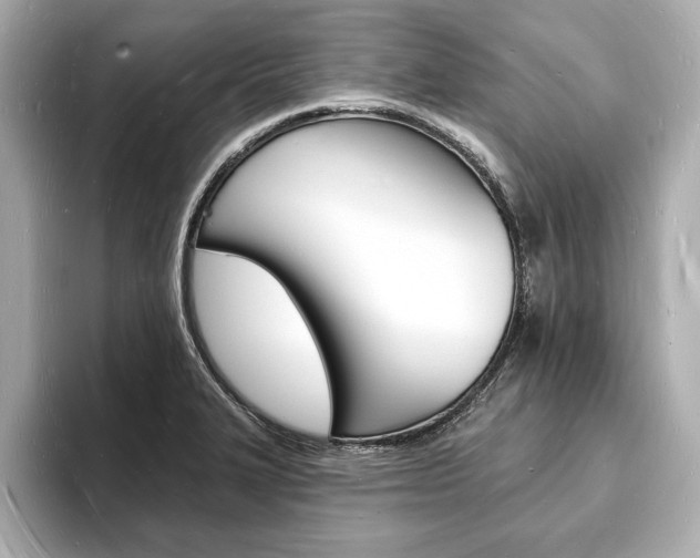 X0000093601327200710150950