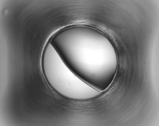 X0000093601328200710150950