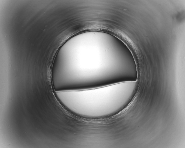 X0000093601329200710150950