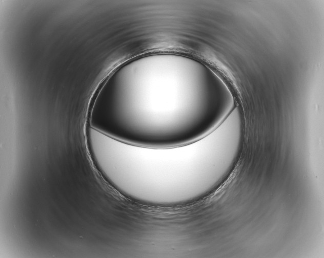 X0000093601330200710150951