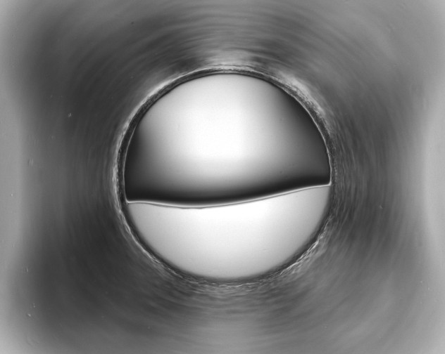 X0000093601331200710150951