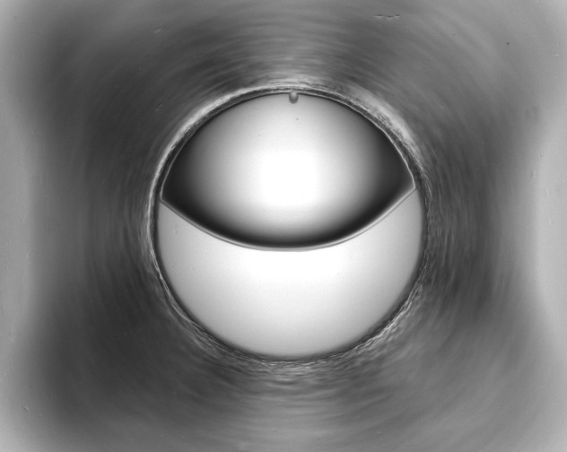 X0000093601332200710150951