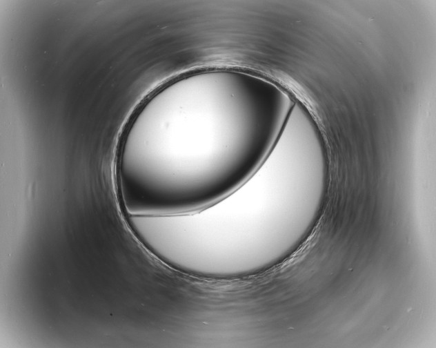 X0000093601334200710150951