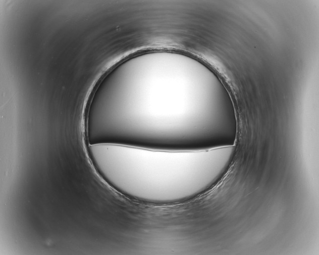 X0000093601335200710150951