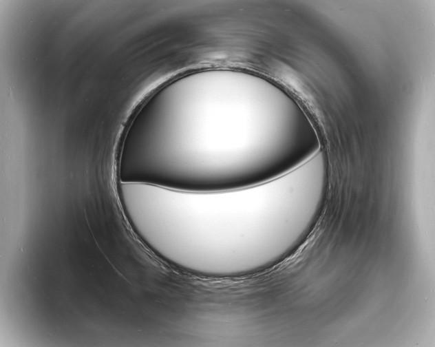 X0000093601336200710150951