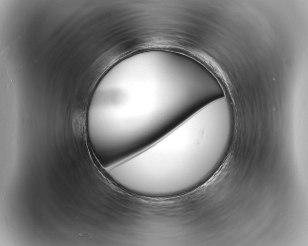 X0000093601337200710150951