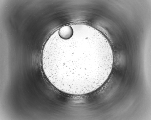 X0000093601338200710150951