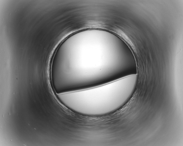X0000093601339200710150951