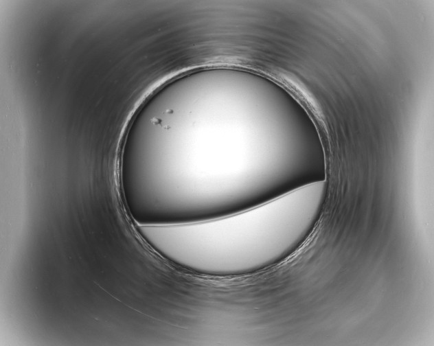 X0000093601340200710150951