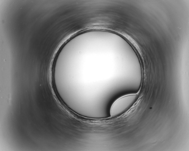 X0000093601341200710150951