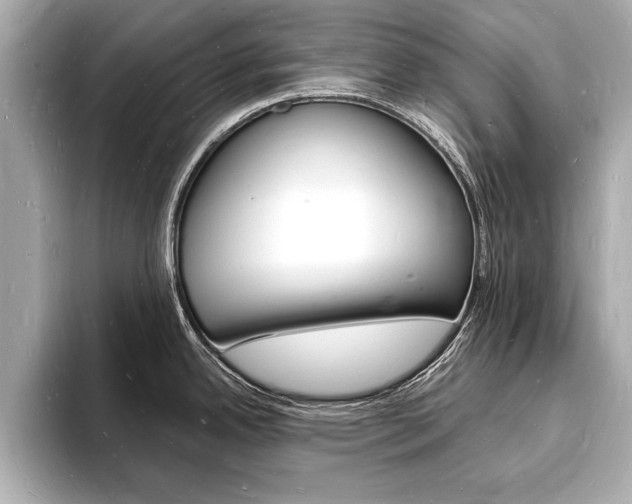 X0000093601342200710150951