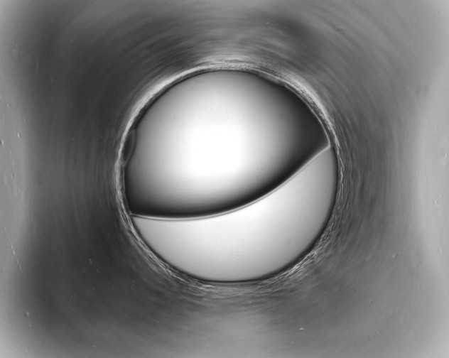 X0000093601344200710150951