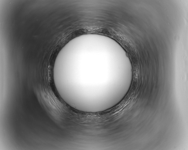 X0000093601346200710150950