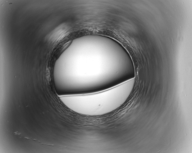 X0000093601347200710150950
