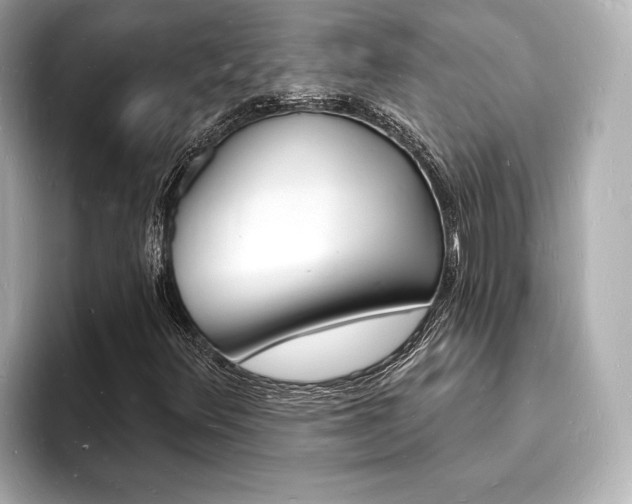 X0000093601348200710150950