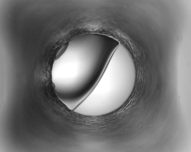 X0000093601349200710150950