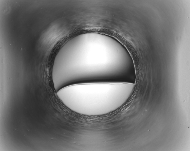 X0000093601351200710150950