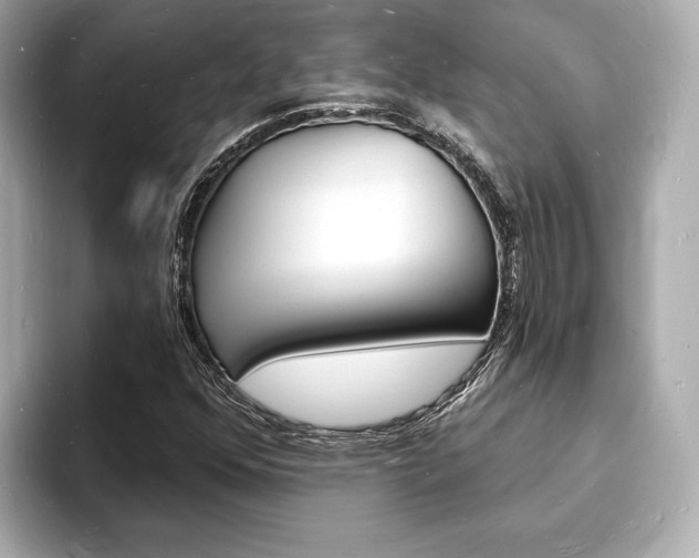 X0000093601352200710150950