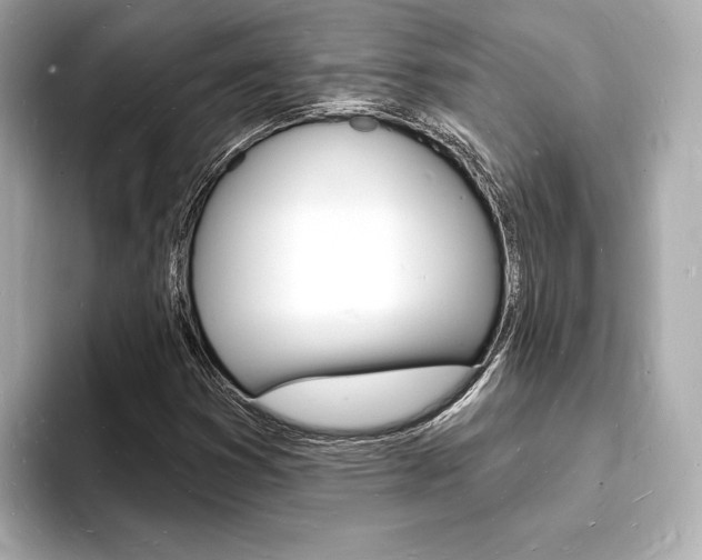 X0000093601353200710150950