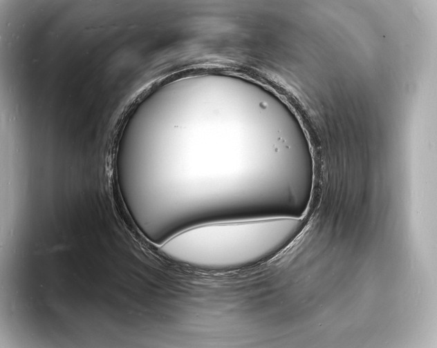 X0000093601355200710150950