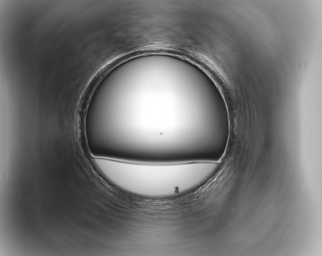 X0000093601356200710150950