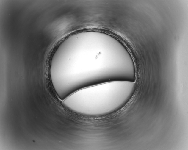 X0000093601359200710150950