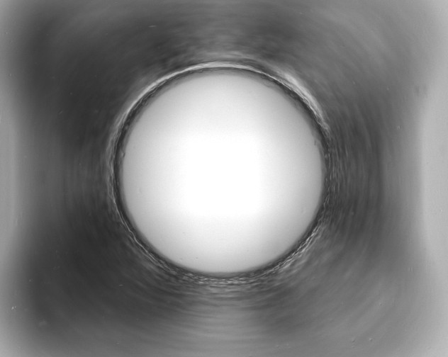 X0000093601360200710150950