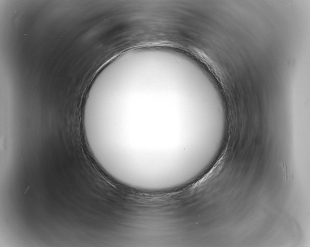 X0000093601361200710150950