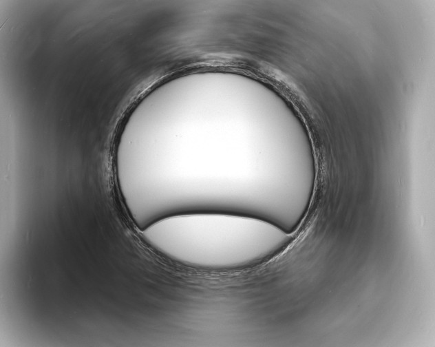 X0000093601362200710150950