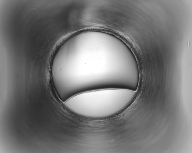 X0000093601363200710150950