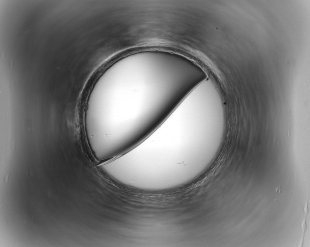 X0000093601364200710150950
