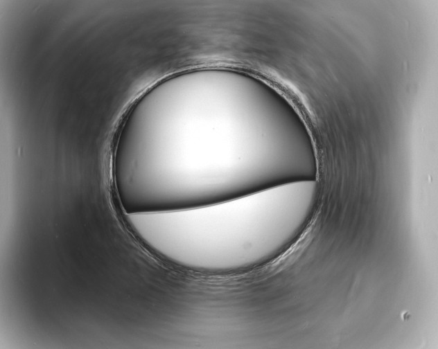 X0000093601365200710150950