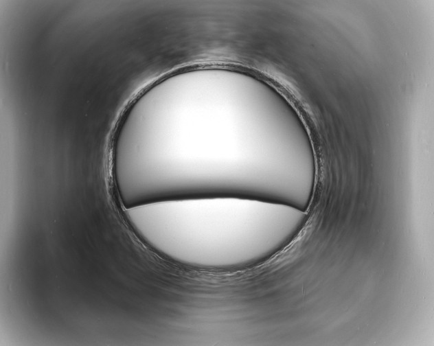 X0000093601366200710150950