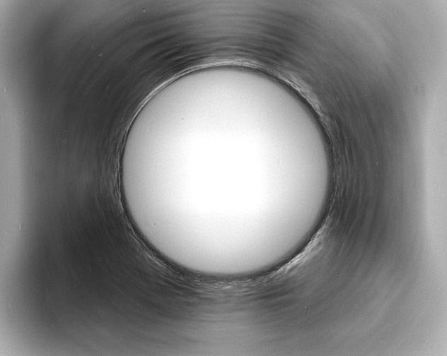X0000093601369200710150950