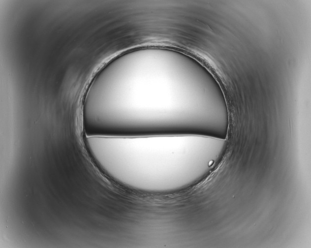 X0000093601371200710150950
