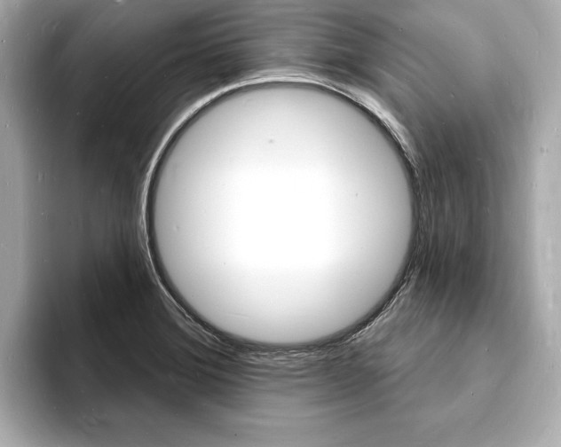 X0000093601372200710150950